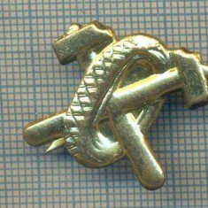 Y 1688 INSIGNA - MILITARA -SEMN DE ARMA - AUTO -PENTRU COLECTIONARI