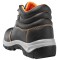 icon 5
