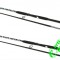 Set 2 Lans Somn DMT Cat Fish 2.7m 400 Gr Act.2 mulin Crap / Somn / Dunare DM 70