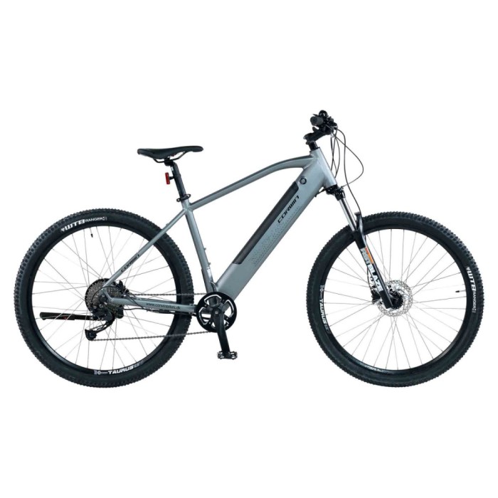 Bicicleta Electrica Corwin 29223 - 29 Inch, M, Gri Ultimate FactoryBikes
