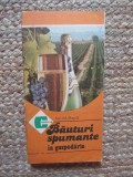 ION M. PUSCA - BAUTURI SPUMANTE IN GOSPODARIE