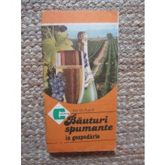 ION M. PUSCA - BAUTURI SPUMANTE IN GOSPODARIE