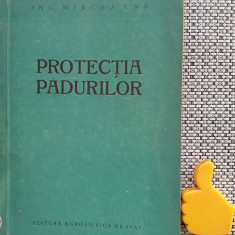 Protectia padurilor Mircea Ene