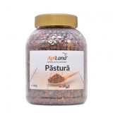 Pastura Apiland 500g - Polen Fermentat Natural, Vitamine, Minerale, Energie, Detoxifiere, Colesterol
