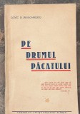 Constantin N. Dragomirescu-Pe drumul pacatului