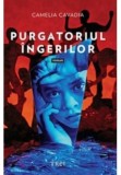 Purgatoriul ingerilor - Camelia Cavadia - Trei