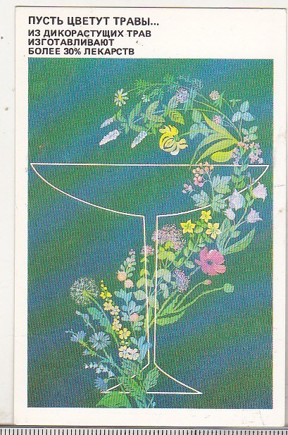 bnk cld Calendar de buzunar - 1989 - URSS