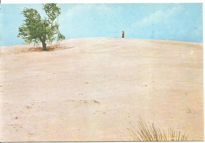 (A) carte postala-DELTA DUNARII-Lumea dunelor de nisip