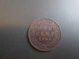 Canada _ 1 cent _ 1901, America de Nord, Cupru (arama)