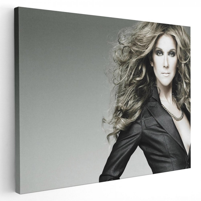 Afis Tablou Celine Dion cantareata 2262 Tablou canvas pe panza CU RAMA 50x70 cm