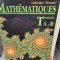Mathematique Terminales T A1etB Collection Fractale