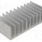 Radiator extrudat, aluminiu, 60mm x 124mm, STONECOLD -
