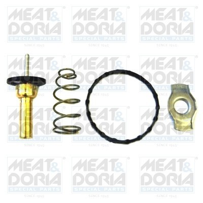 MEAT &amp;amp; DORIA 92784 termostat,lichid racire foto