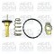 MEAT &amp; DORIA 92784 termostat,lichid racire