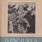 Carmen Rachiteanu - D. Paciurea