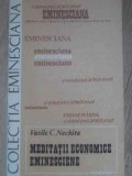 Meditatii Economice Eminesciene - Vasile C. Nechita, Junimea 1989, Eminesciana, Economie, Biografii, Carte Romana
