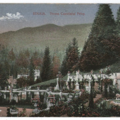 1916 - Sinaia, terasa castelului Peles (jud. Prahova)