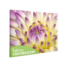 Tablou fosforescent Floarea se deschide foto