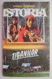 Istoria tiganilor - Lucian Cherata. Studii literare, carte