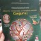 Proiectul internațional de matematică aplicată Cangurul - (clasele IV-XII), martie 2016
