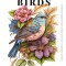 Birds (Coloring Book)