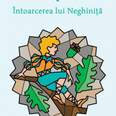 Întoarcerea lui Neghiniță - Hardcover - Alexandru Mitru - Cartea Românească | Art