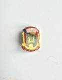 Insignă Vintage BRIGADIER &ndash; Șantierele Tineretului &ndash; RSR &ndash; Colecție
