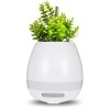 Ghiveci smart, cantator, cu bluetooth, Oem