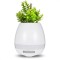 Ghiveci smart, cantator, cu bluetooth
