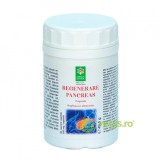 Regenerare Pancreas 90cps
