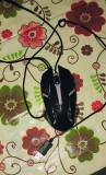 Mouse gaming RGB