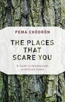The Places That Scare You: A Guide to Fearlessness in Difficult Times foto