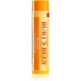 Burt&rsquo;s Bees Lip Care balsam de buze nutritiv (with Mango Butter) 4,25 g