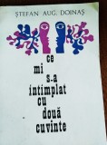 STEFAN AUGUSTIN DOINAS - CE MI S-A INTAMPLAT CU DOUA CUVINTE TD