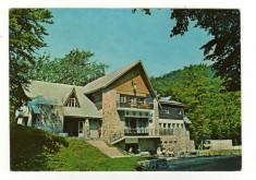 HANUL PINTEA VITEAZUL MARAMURES COD 2398 /81 foto