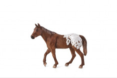 Figurina Cal Appaloosa foto