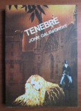 John Galsworthy - Tenebre