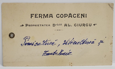 FERMA COPACENI , PROPRIETATEA D- LUI AL. GIURCU , ETICHETA , INTERBELICA foto