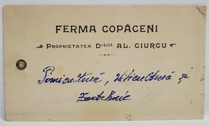 FERMA COPACENI , PROPRIETATEA D- LUI AL. GIURCU , ETICHETA , INTERBELICA