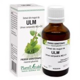 Extract din muguri de ulm, 50ml, PlantExtrakt