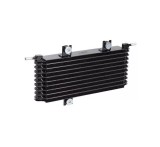 Radiator ulei motor, Termoflot Nissan X-Trail 2007-2014, 300x140x50mm, RapidAuto 2751L8-1, Rapid