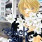 Black Bird, Volume 13