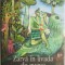 Zarva in livada de guave ? Kiran Desai