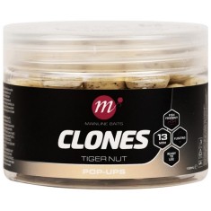 Pop Up Mainline Clones Alune Tigrate, 13mm