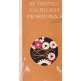 Pe treptele calificarii profesionale