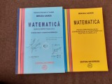 SET MANUAL MATEMATICA PLUS PROBLEME REZOLVATE MIRCEA GANGA NOI 2 VOLUME