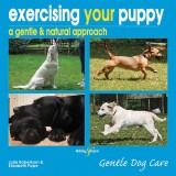 Julia Robertson, Elisabeth Pope - Exercising Your Puppy