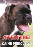 Placuta caine rau Boxer.