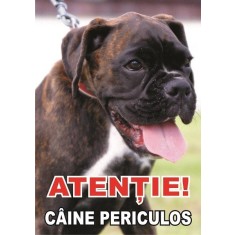 Placuta caine rau Boxer.