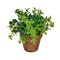 Ghiveci decorativ cu Bonsai artificial, 10x15 cm, ATU-085425